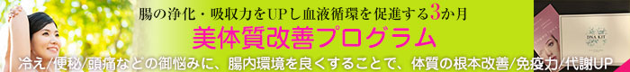 美体質改善プログラム